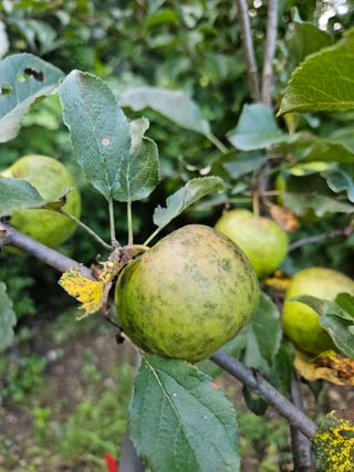 투명소리님의 자유주제 · 자유게시판 작성글 사진
