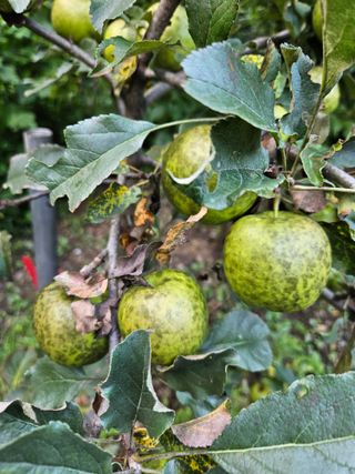 투명소리님의 자유주제 · 자유게시판 작성글 사진