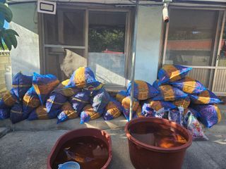 땅끝해남님의 고추 · 영농일지 작성글 사진