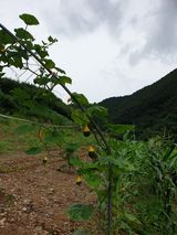 팜모닝 자유주제·자유게시판 게시글 이미지