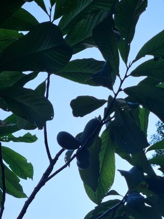 신준철님의 자유주제 · 자유게시판 작성글 사진