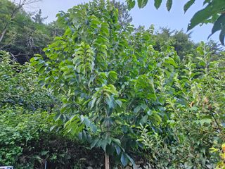 신준철님의 자유주제 · 자유게시판 작성글 사진