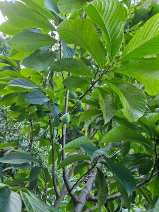 신준철님의 자유주제 · 자유게시판 작성글 사진