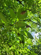 팜모닝 자유주제·사진전 게시글 이미지