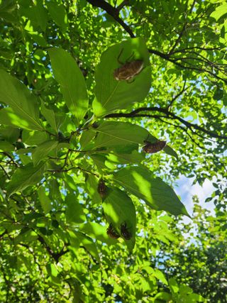 한상경님의 자유주제 · 사진전 작성글 사진