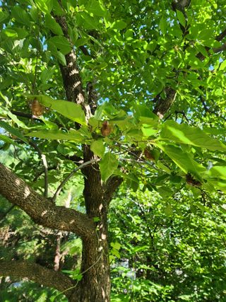 한상경님의 자유주제 · 사진전 작성글 사진