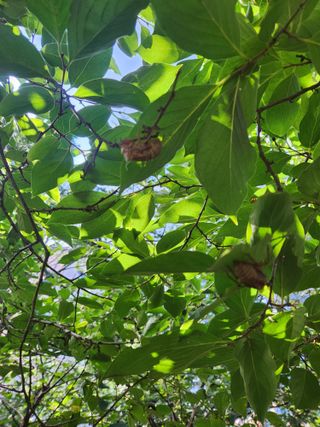한상경님의 자유주제 · 사진전 작성글 사진