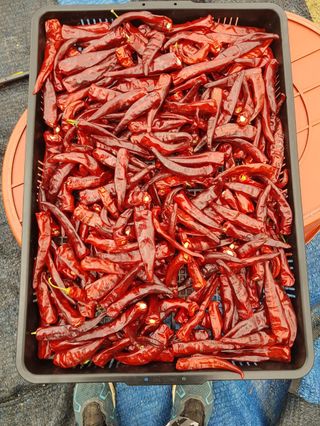 재순님의 자유주제 · 자유게시판 작성글 사진