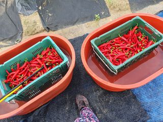 재순님의 자유주제 · 자유게시판 작성글 사진