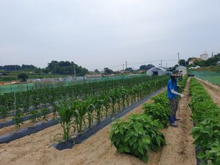 재순님의 자유주제 · 자유게시판 작성글 사진