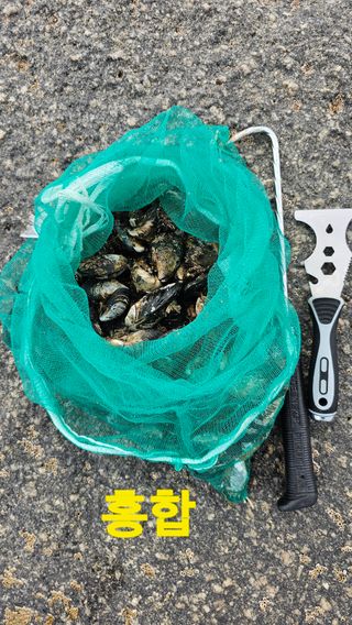 장철식님의 자유주제 · 자유게시판 작성글 사진