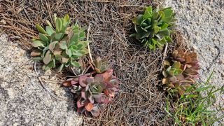 장철식님의 자유주제 · 자유게시판 작성글 사진