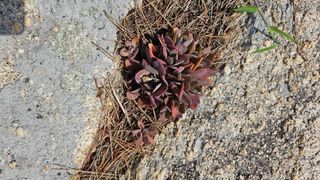 장철식님의 자유주제 · 자유게시판 작성글 사진