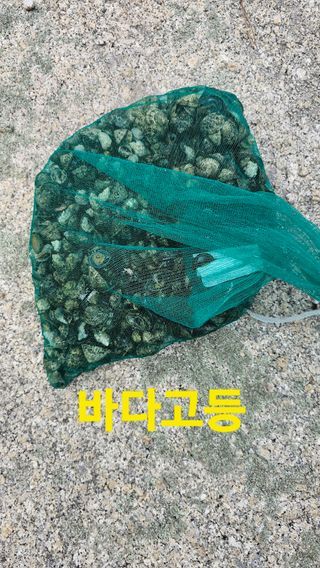 장철식님의 자유주제 · 자유게시판 작성글 사진