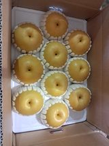 팜모닝 배·영농일지 게시글 이미지