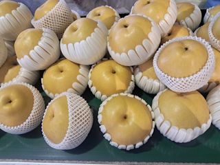 박경철님의 배 · 영농일지 작성글 사진