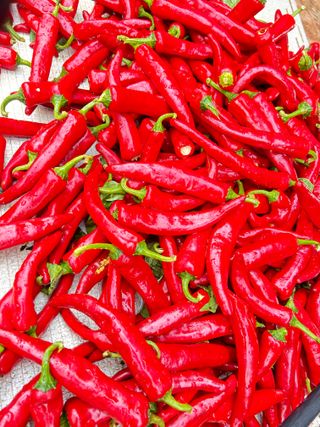 김상봉 님의 자유주제 · 자유게시판 작성글 사진