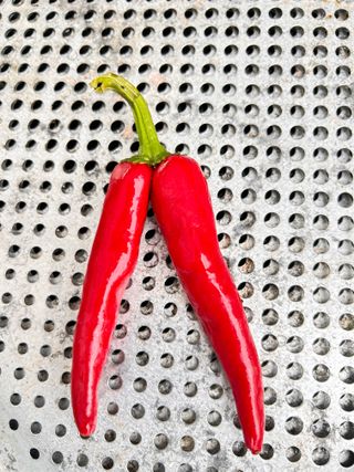 김상봉 님의 자유주제 · 자유게시판 작성글 사진