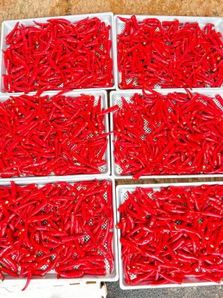 김상봉 님의 자유주제 · 자유게시판 작성글 사진