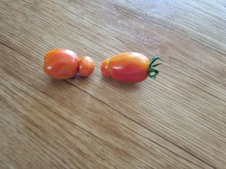 김선두님의 자유주제 · 자유게시판 작성글 사진