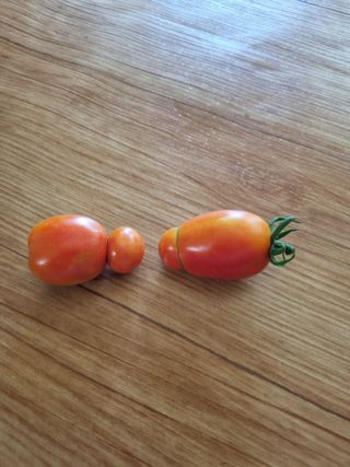 김선두님의 자유주제 · 자유게시판 작성글 사진