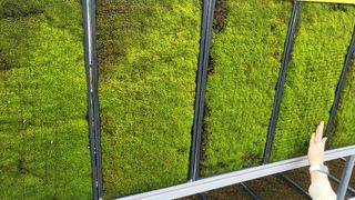 Tree100님의 기타작물 · 영농일지 작성글 사진