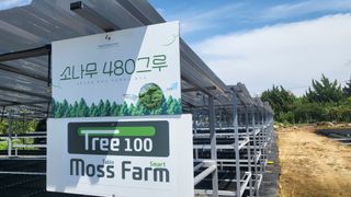 Tree100님의 기타작물 · 영농일지 작성글 사진