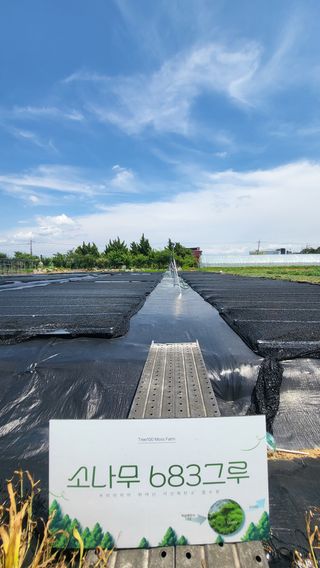 Tree100님의 기타작물 · 영농일지 작성글 사진