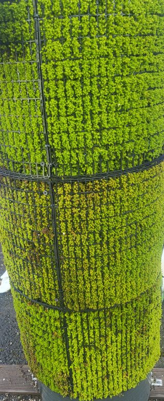 Tree100님의 기타작물 · 영농일지 작성글 사진