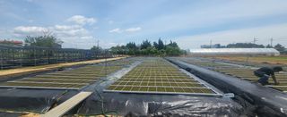 Tree100님의 기타작물 · 영농일지 작성글 사진