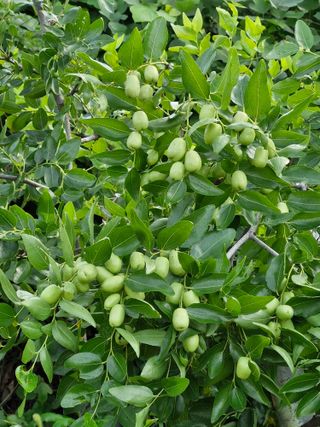 송석래님의 요즘 무엇에 관심있나요? · 참여글 작성글 사진