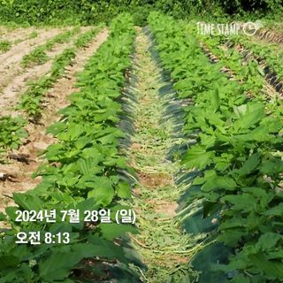 송석래님의 요즘 무엇에 관심있나요? · 참여글 작성글 사진