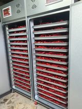 팜모닝 요즘 무엇에 관심있나요?·참여글 게시글 이미지