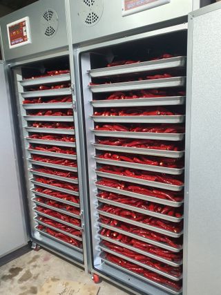 서툰 농부짱님의 요즘 무엇에 관심있나요? · 참여글 작성글 사진