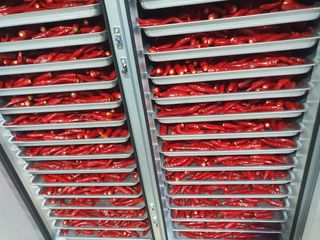 서툰 농부짱님의 요즘 무엇에 관심있나요? · 참여글 작성글 사진