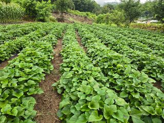 전경춘님의 요즘 무엇에 관심있나요? · 참여글 작성글 사진