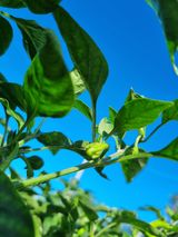 팜모닝 자유주제·자유게시판 게시글 이미지