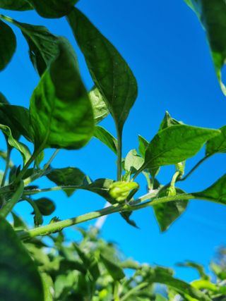 태풍한가름님의 자유주제 · 자유게시판 작성글 사진