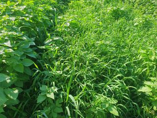 김양석님의 자유주제 · 자유게시판 작성글 사진