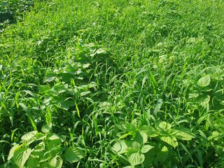 김양석님의 자유주제 · 자유게시판 작성글 사진