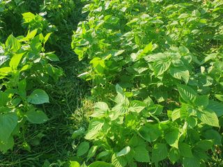 김양석님의 자유주제 · 자유게시판 작성글 사진