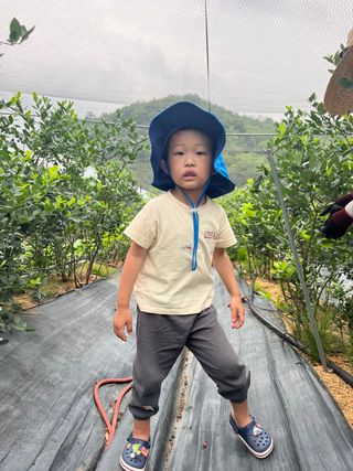 박창호님의 팜모닝 · 출석 작성글 사진