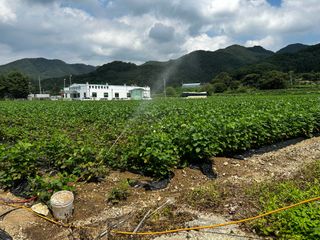 박현희님의 콩 · 영농일지 작성글 사진