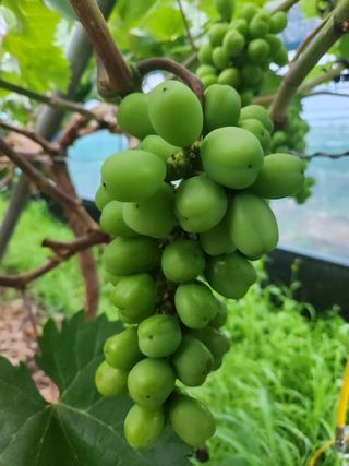 텃밭농사님의 요즘 무엇에 관심있나요? · 참여글 작성글 사진