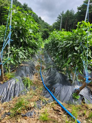 귀촌인정찬영님의 요즘 무엇에 관심있나요? · 참여글 작성글 사진