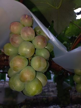 김영기님의 요즘 무엇에 관심있나요? · 참여글 작성글 사진