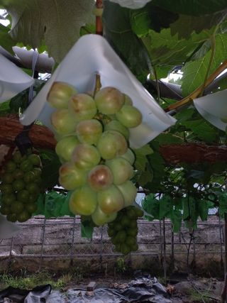 김영기님의 요즘 무엇에 관심있나요? · 참여글 작성글 사진