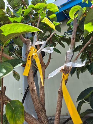 왕대추님의 자유주제 · 자유게시판 작성글 사진