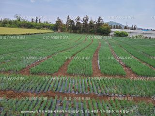 호랭이님의 자유주제 · 자유게시판 작성글 사진