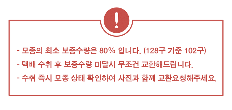 팜모닝 상점님의 장터 판매 상품 [불암 3호 김장배추모종 128구] 첨부 사진